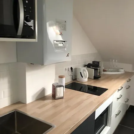 Jardin Des Plantes *