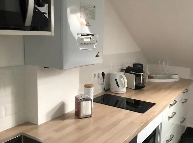 Jardin Des Plantes *