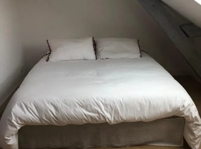 Jardin Des Plantes Bed & Breakfast